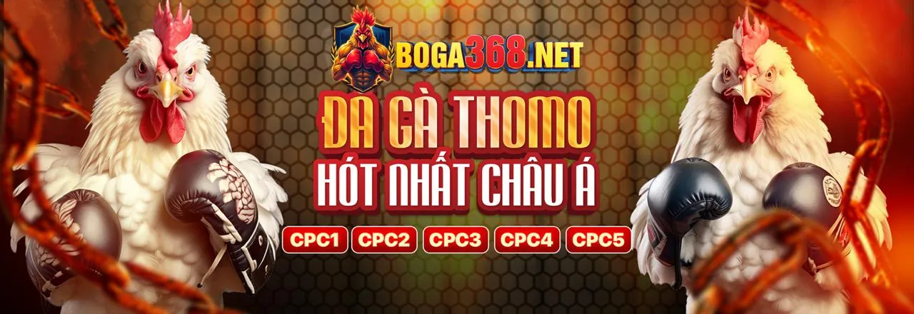 Đá Gà kịch tính tại 777king99 cổng game